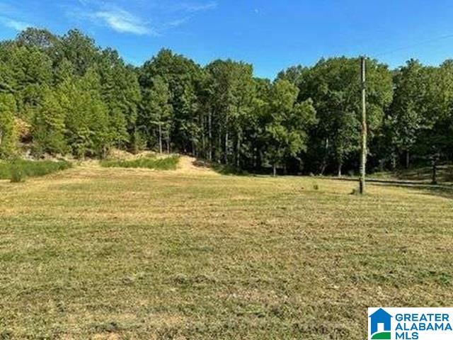 2450 Spring Creek Road, Unit 1 Montevallo, AL 35115 - Photo 2 of 4