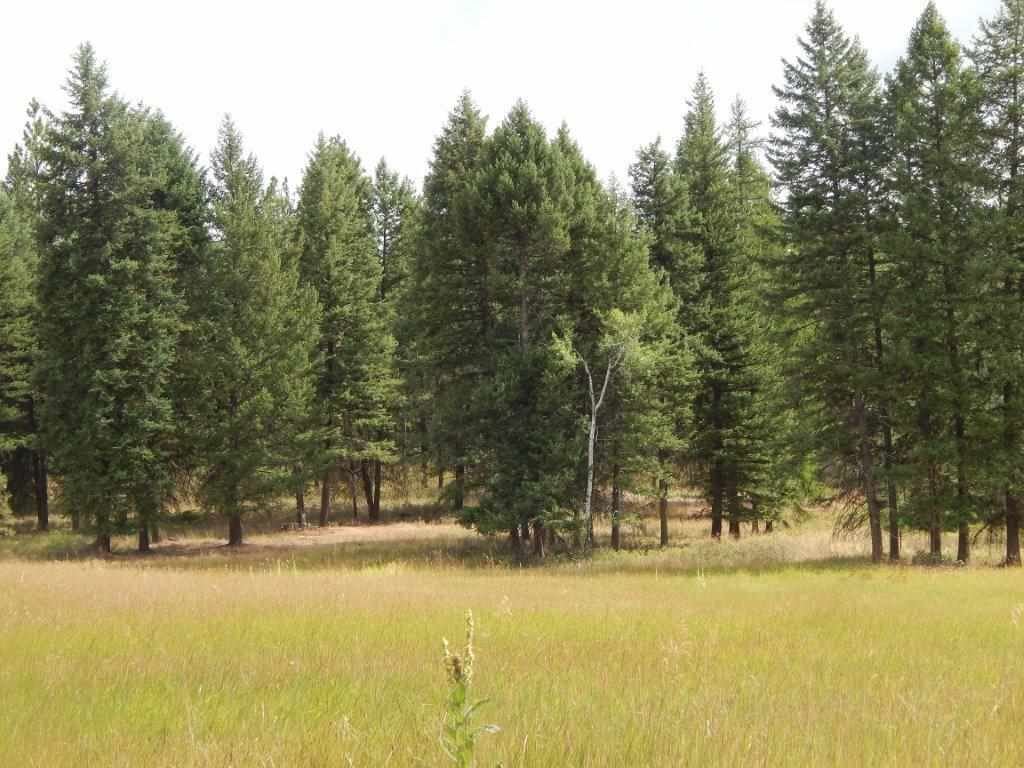 Xxxx Grimm Road Addy, WA 99101 - Photo 1 of 13