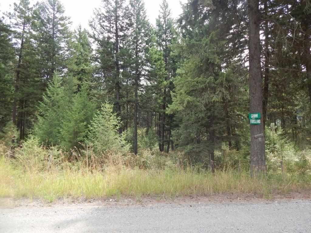Xxxx Grimm Road Addy, WA 99101 - Photo 2 of 13