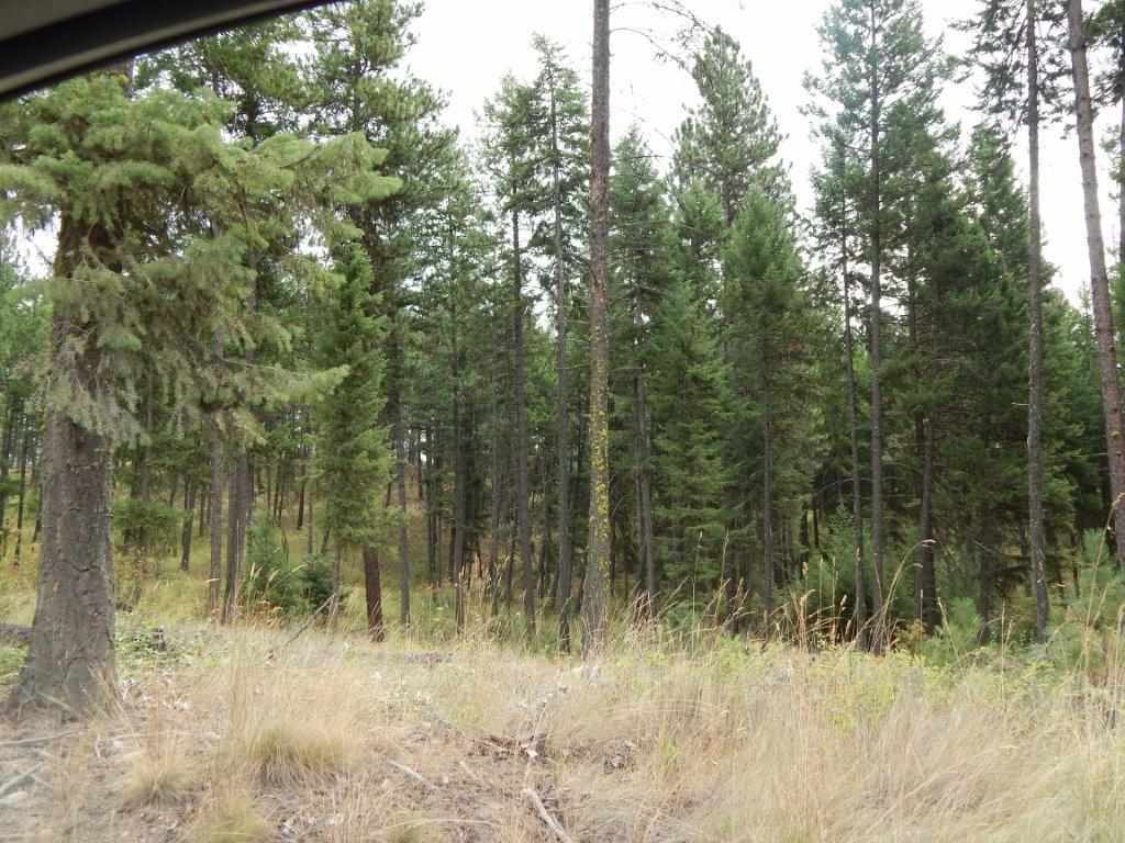 Xxxx Grimm Road Addy, WA 99101 - Photo 11 of 13