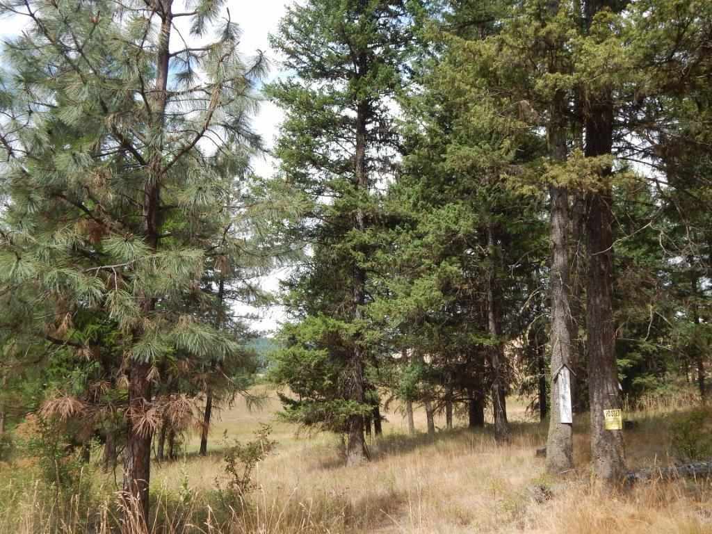 Xxxx Grimm Road Addy, WA 99101 - Photo 12 of 13