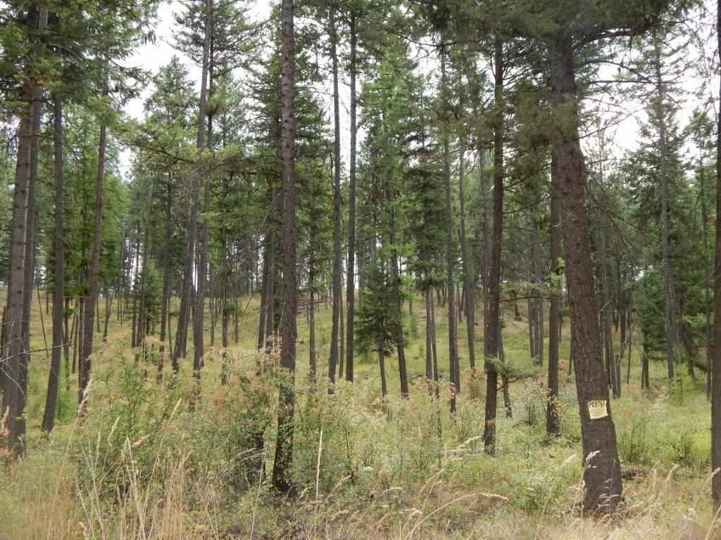 Xxxx Grimm Road Addy, WA 99101 - Photo 13 of 13