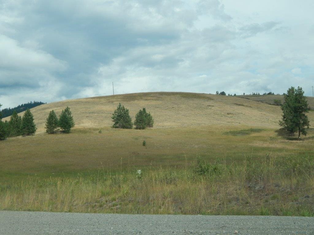 Xxxx Grimm Road Addy, WA 99101 - Photo 3 of 13
