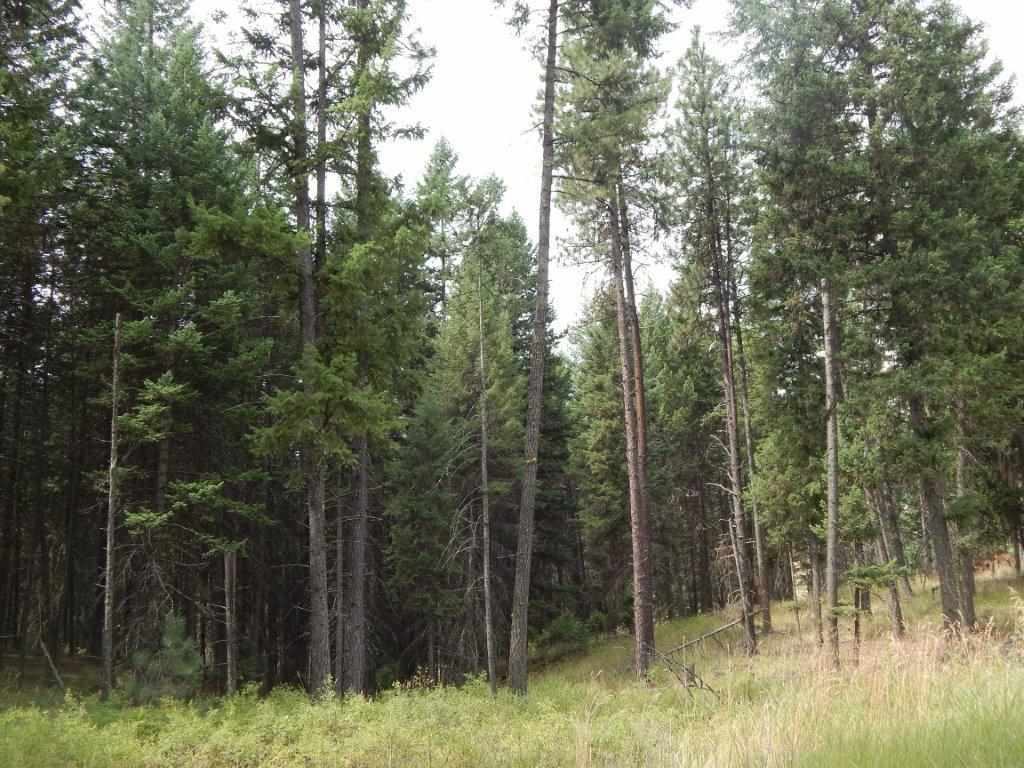 Xxxx Grimm Road Addy, WA 99101 - Photo 4 of 13