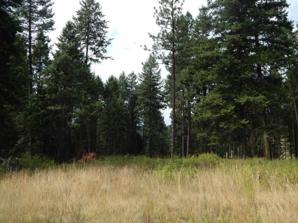 Xxxx Grimm Road Addy, WA 99101 - Photo 5 of 13