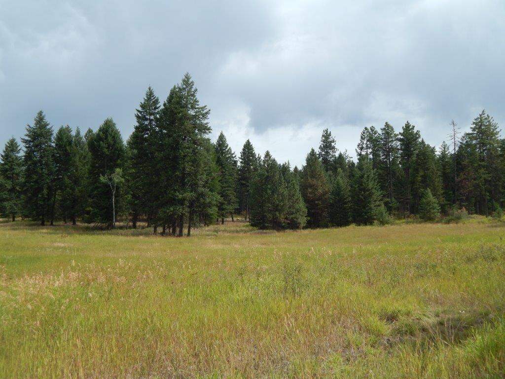 Xxxx Grimm Road Addy, WA 99101 - Photo 8 of 13