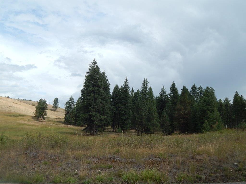 Xxxx Grimm Road Addy, WA 99101 - Photo 9 of 13
