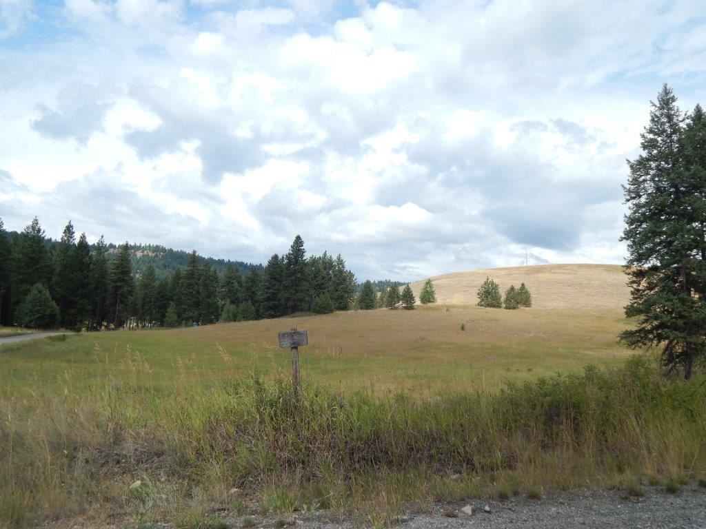 Xxxx Grimm Road Addy, WA 99101 - Photo 10 of 13