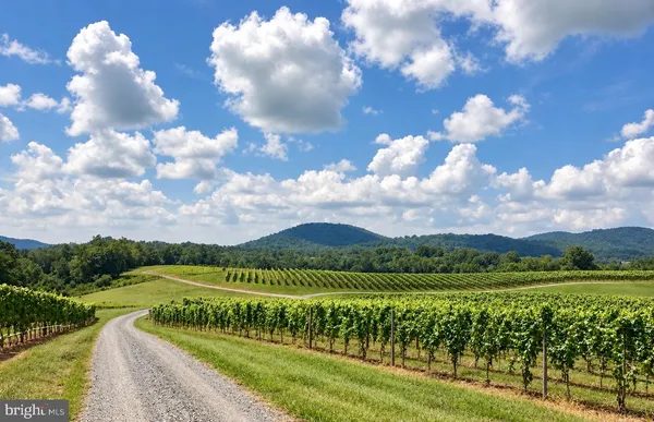 $375,000 | 51 Vineyard Lane, Washington, VA 22747