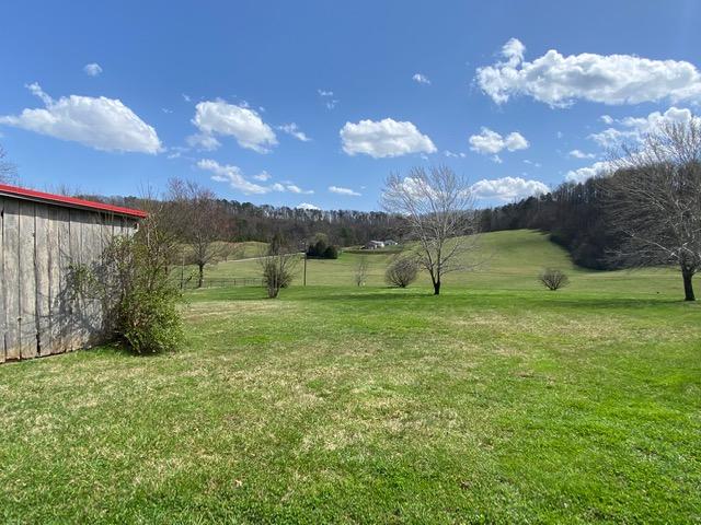 1213 Rhea Road Knoxville, TN 37920 - Photo 7 of 7 IMG_6946