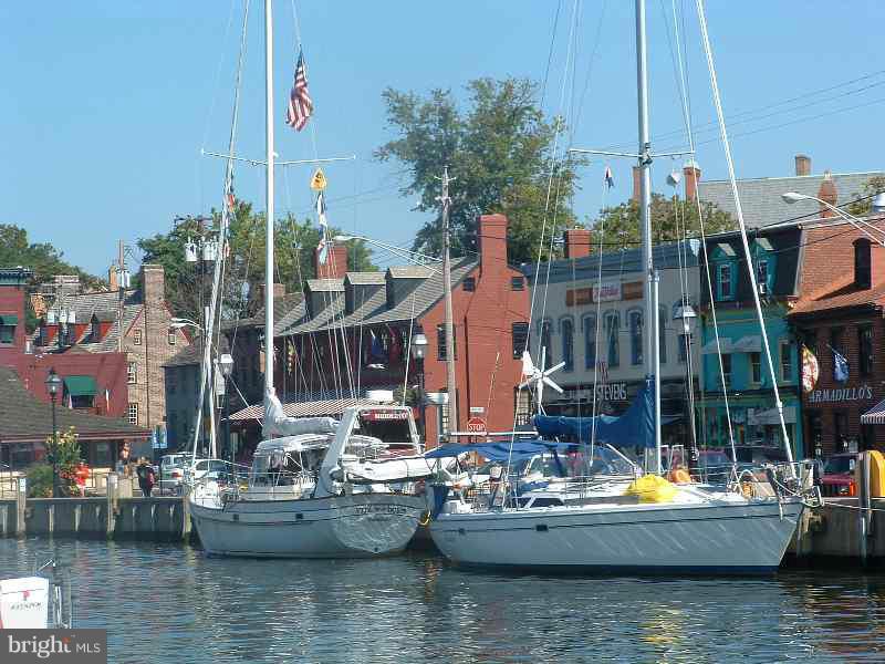 7635 Telamon Way Hanover, MD 21076 - Photo 19 of 30