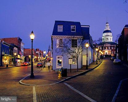 7635 Telamon Way Hanover, MD 21076 - Photo 20 of 30 a room with lots of potted plants