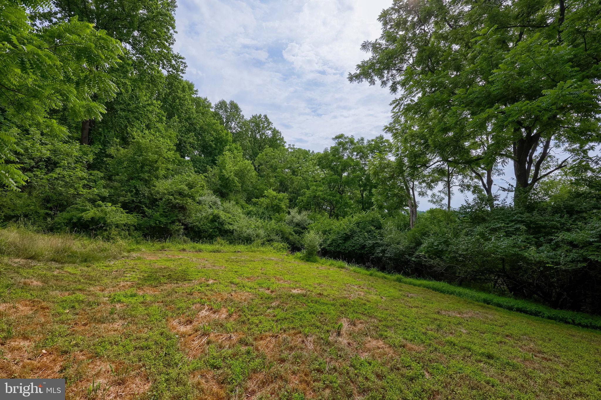 49 Preston Road Reading, PA 19608 - Photo 3 of 42 Lush green retreat awaits your vision.