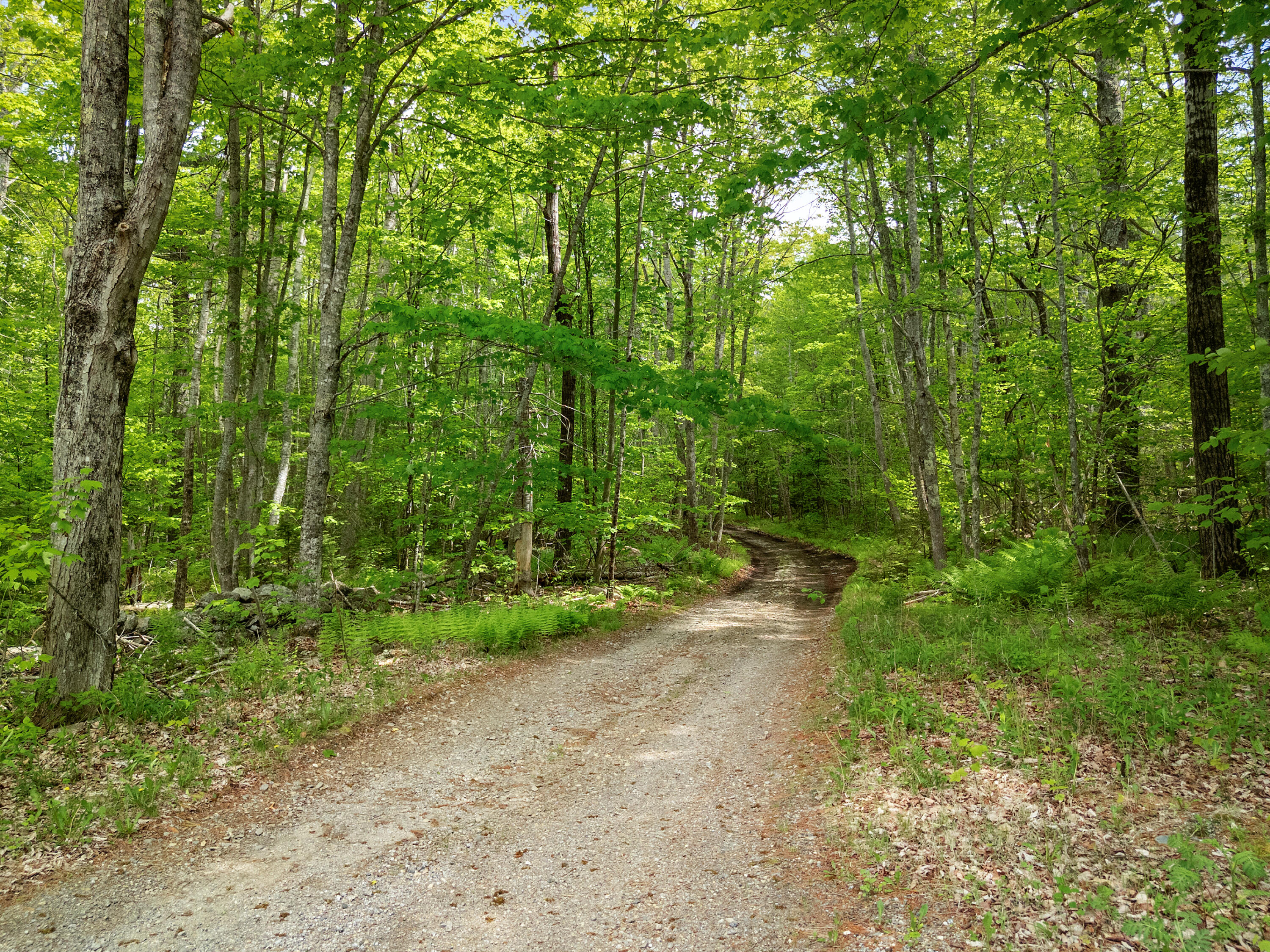 479 Niilo Hill Road Warren, ME 04864 - Photo 52 of 52 DJI_20260527131124_0975_D