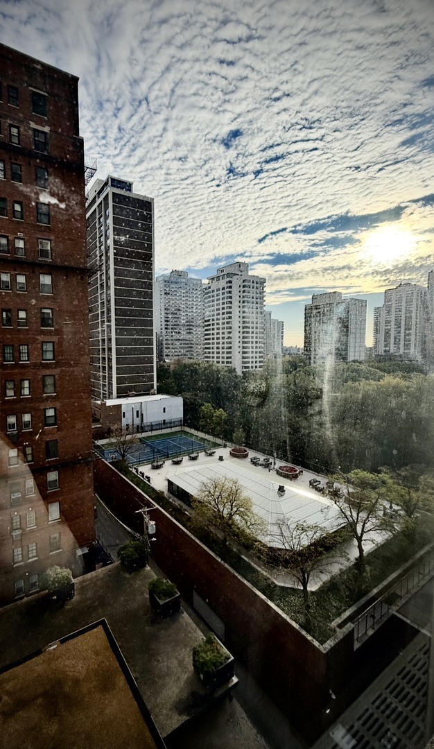1550 North Lake Shore Drive, Unit 9F Chicago, IL 60610 - Photo 9 of 19