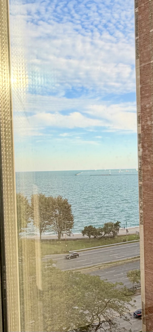 1550 North Lake Shore Drive, Unit 9F Chicago, IL 60610 - Photo 10 of 19 a view of an ocean