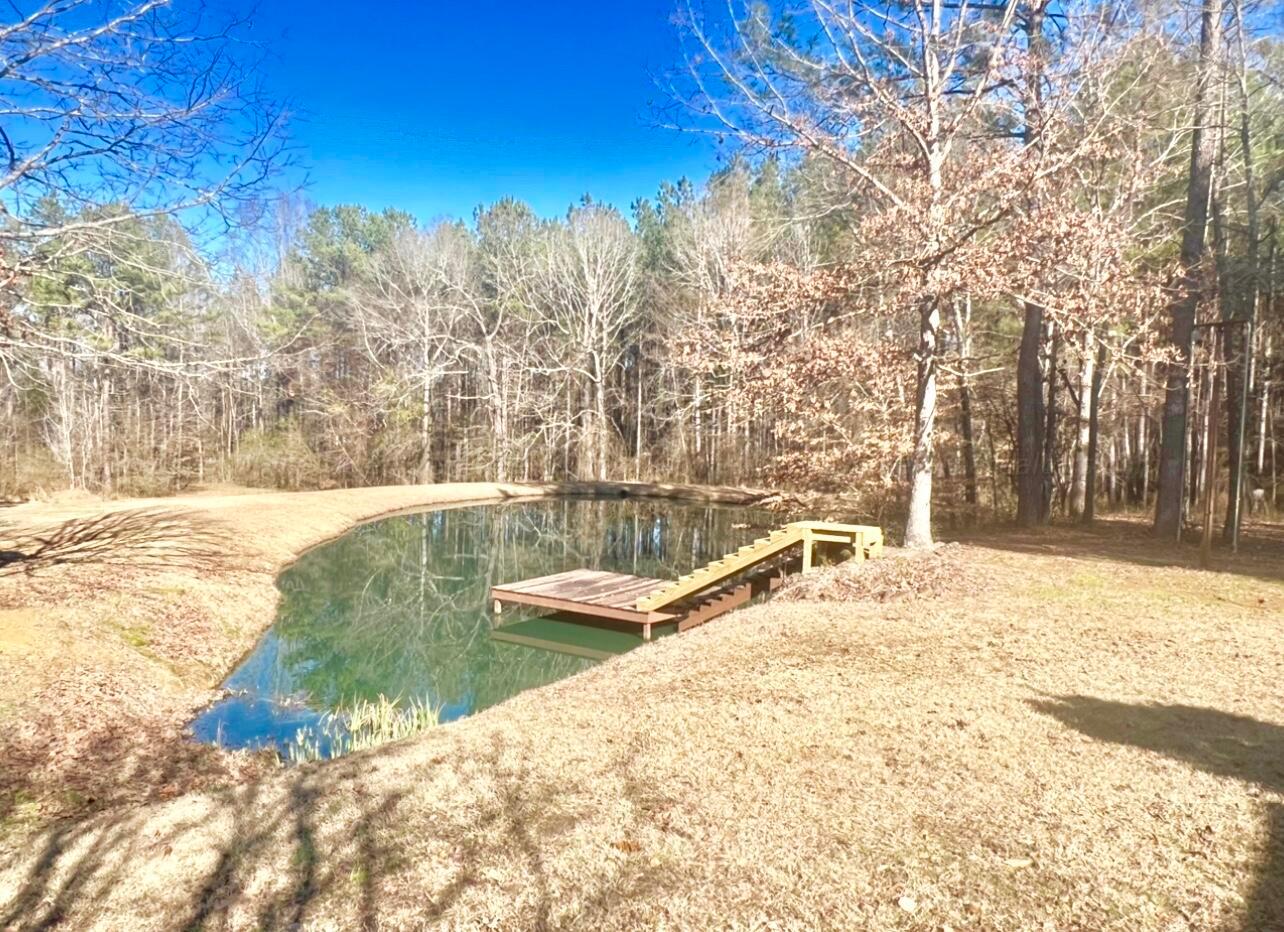 173 Lampkin Road Sulligent, AL 35586 - Photo 6 of 50 Gallery Image 6