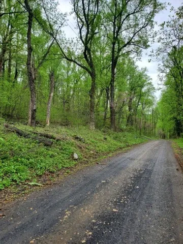 $26,500 | 0 Gayle Lane, Front Royal, VA 22630