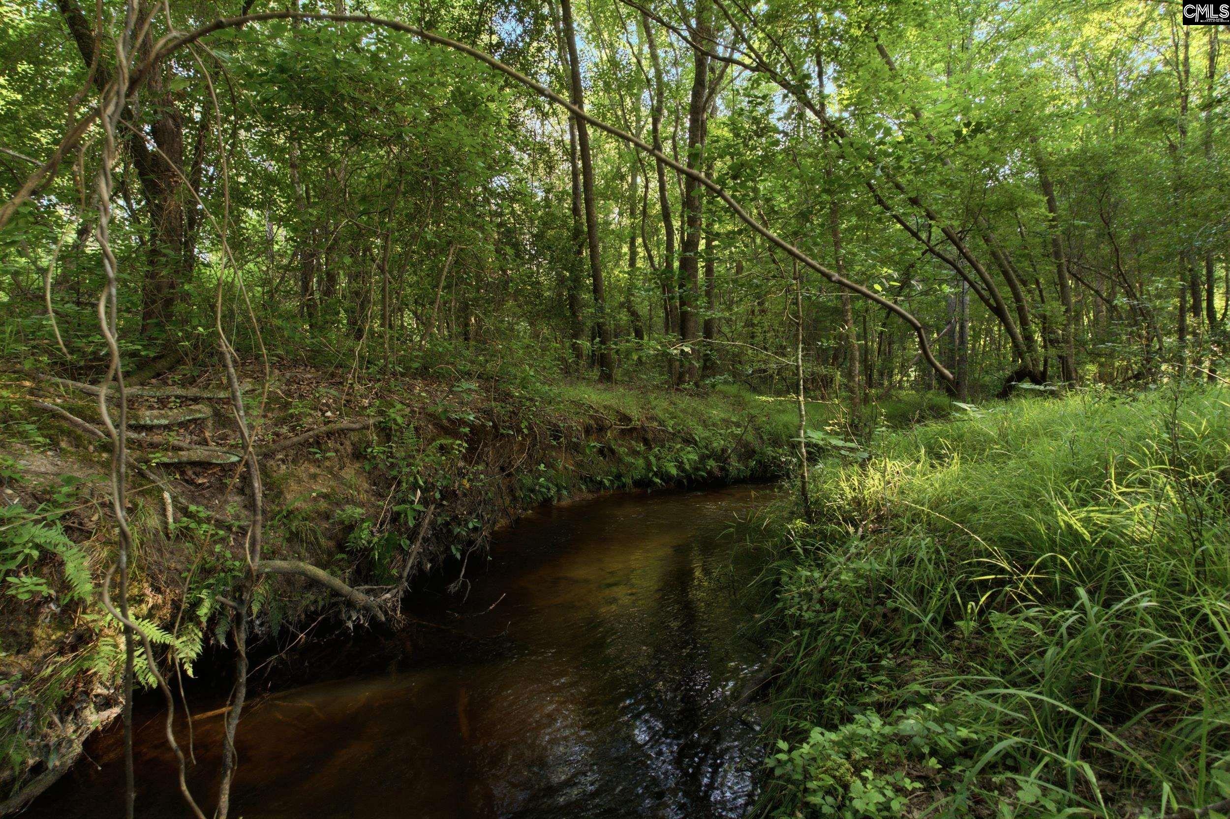 3390 State Rd S-28-496 Kershaw, SC 29067 - Photo 23 of 26