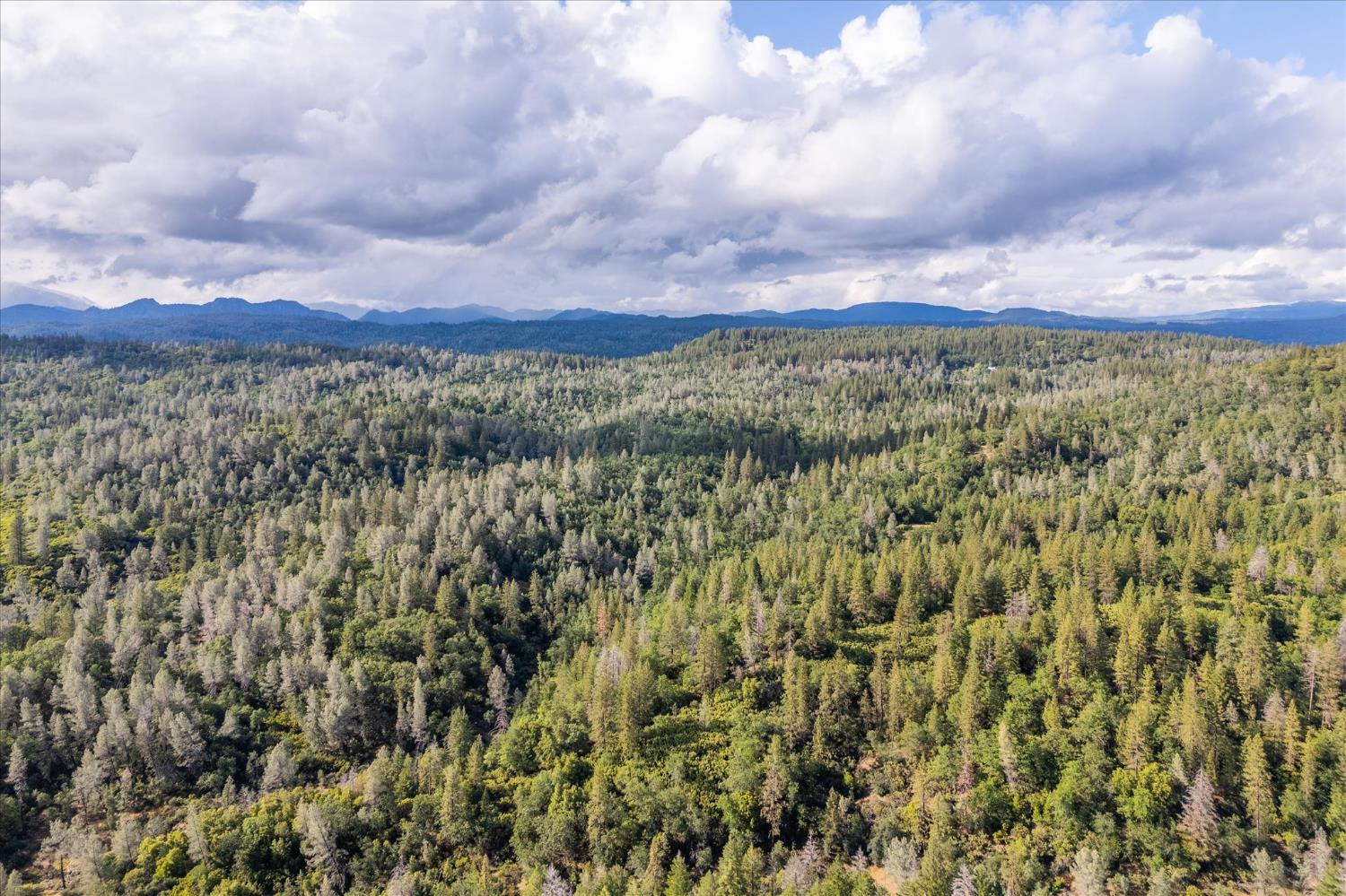 0 Donkey Mine Road Oak Run, CA 96069 - Photo 17 of 19 Gallery Image 17