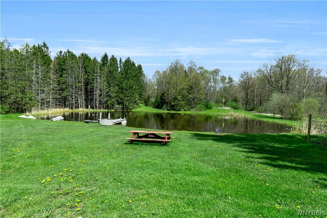 10819 Warner Gulf Road Sardinia, NY 14030 - Photo 4 of 45
