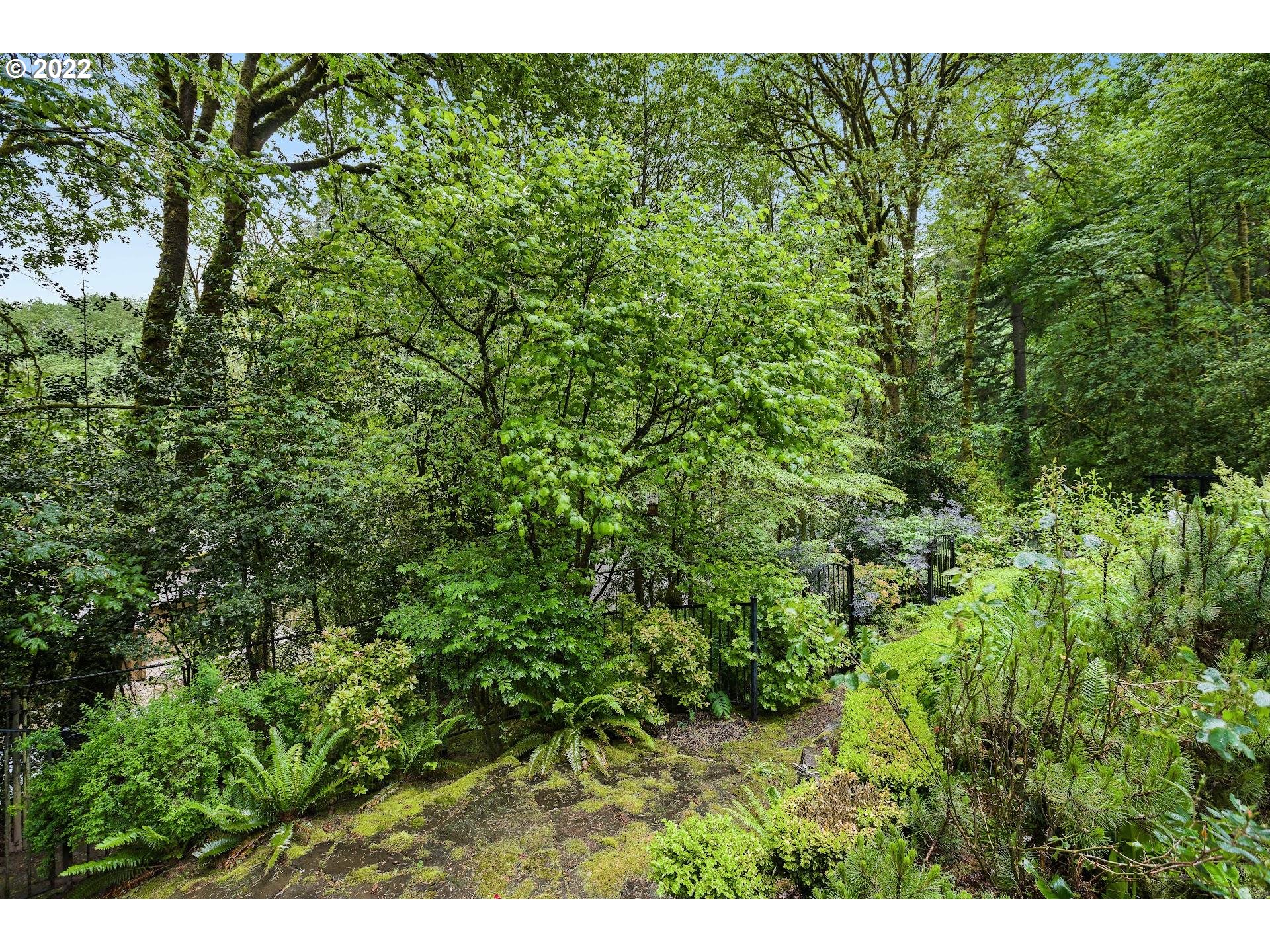 2554 Southwest Arden Road Portland, OR 97201 - Photo 20 of 26 a view of a lush green forest