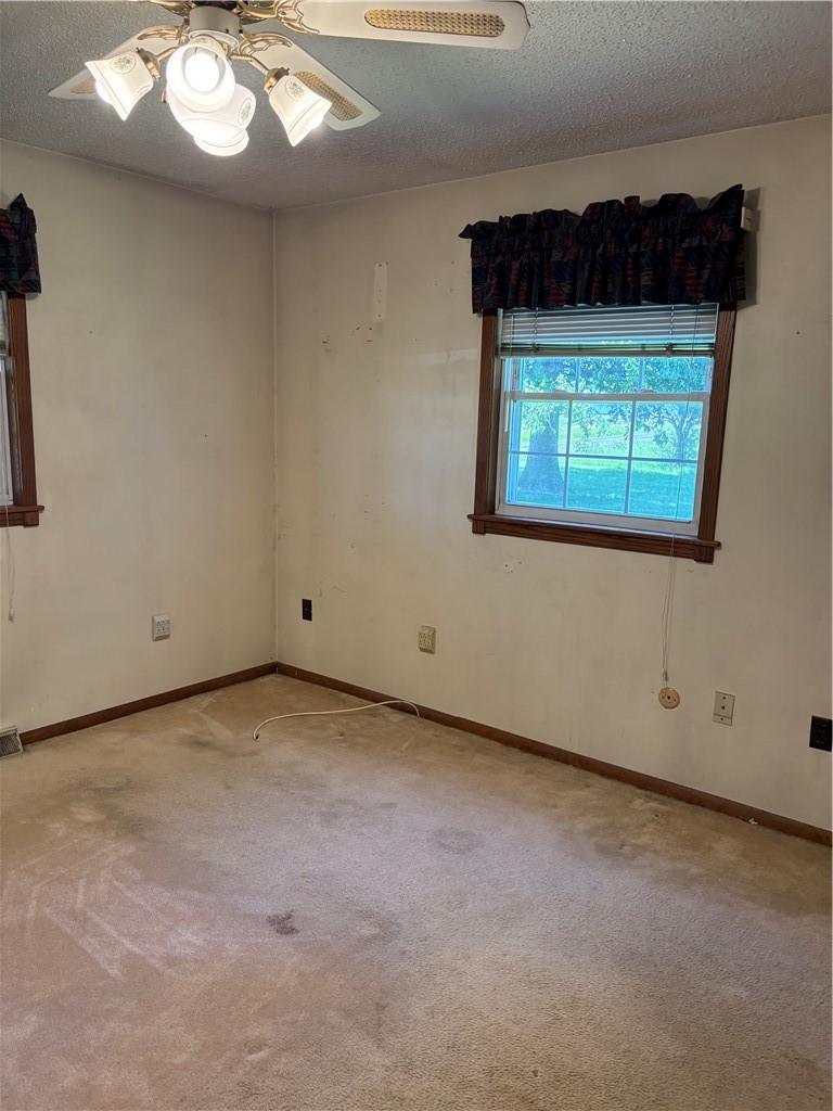 4888 Cundiff Road Decatur, IL 62526 - Photo 14 of 20