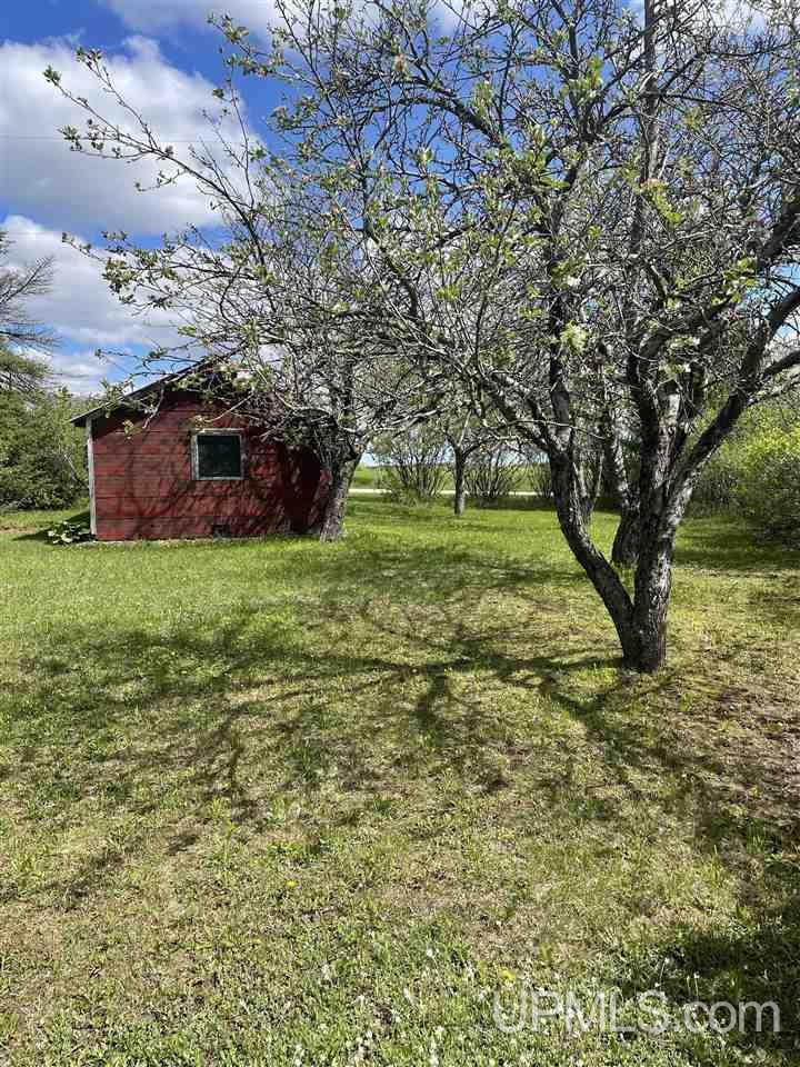 N19598 Swede Road Perronville, MI 49873 - Photo 21 of 59