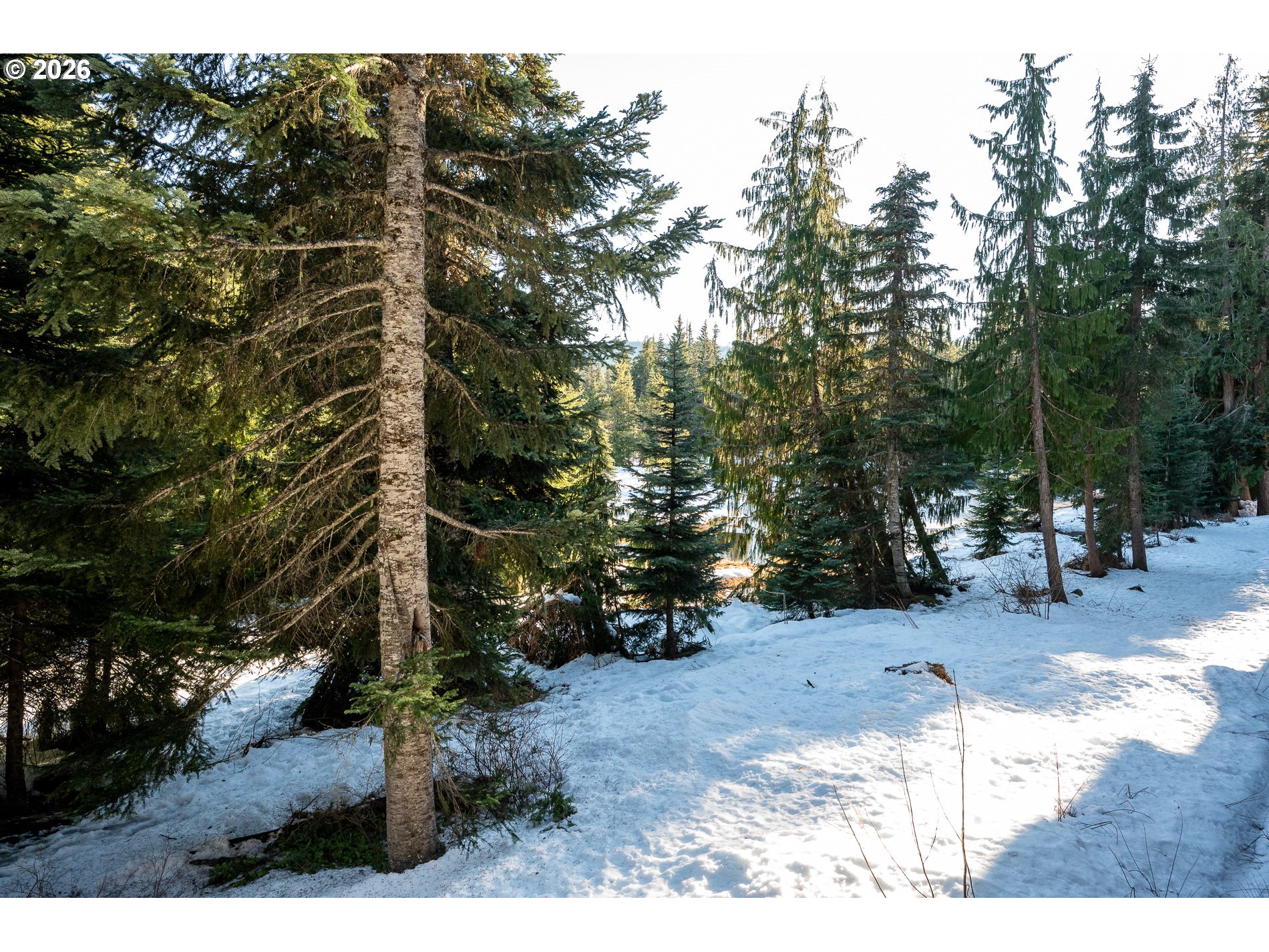 31250 East Collins Lake Road, Unit 6 Government Camp, OR 97028 - Photo 30 of 35 a backyard of a house with table and chairs