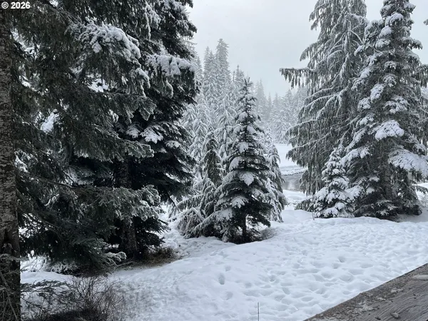 a view of outdoor space and covered with trees