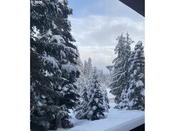 a view of a tree in a back yard of a house