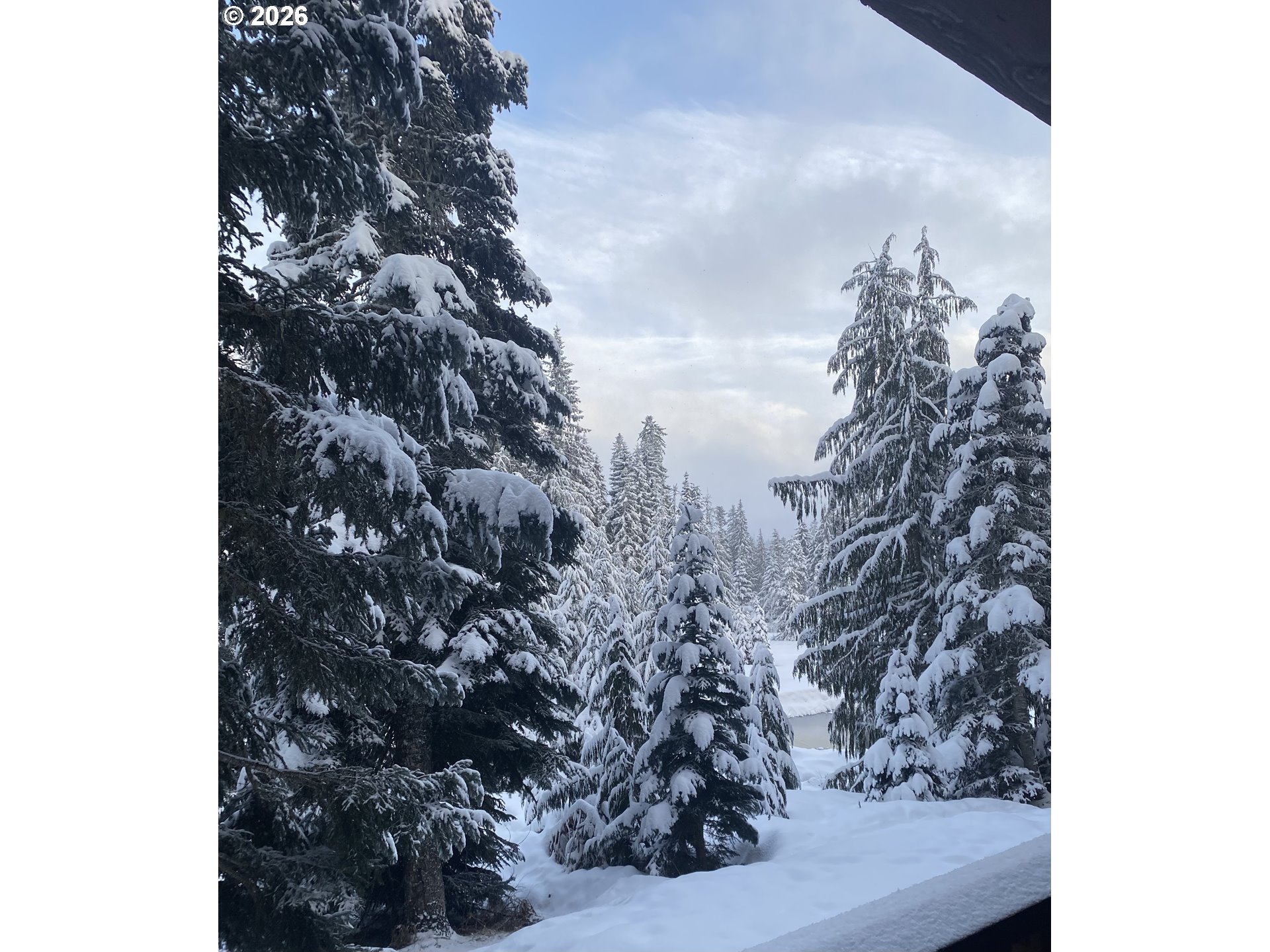 31250 East Collins Lake Road, Unit 6 Government Camp, OR 97028 - Photo 9 of 35 a view of a tree in a back yard of a house
