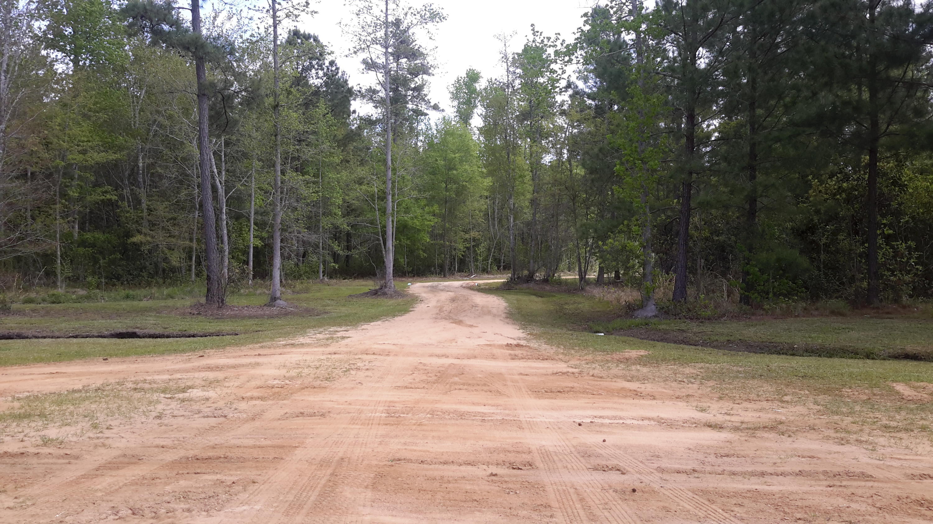 2511 Hudson Mill Road Ruffin, SC 29475 - Photo 8 of 9 2016-04-11 11.35.40