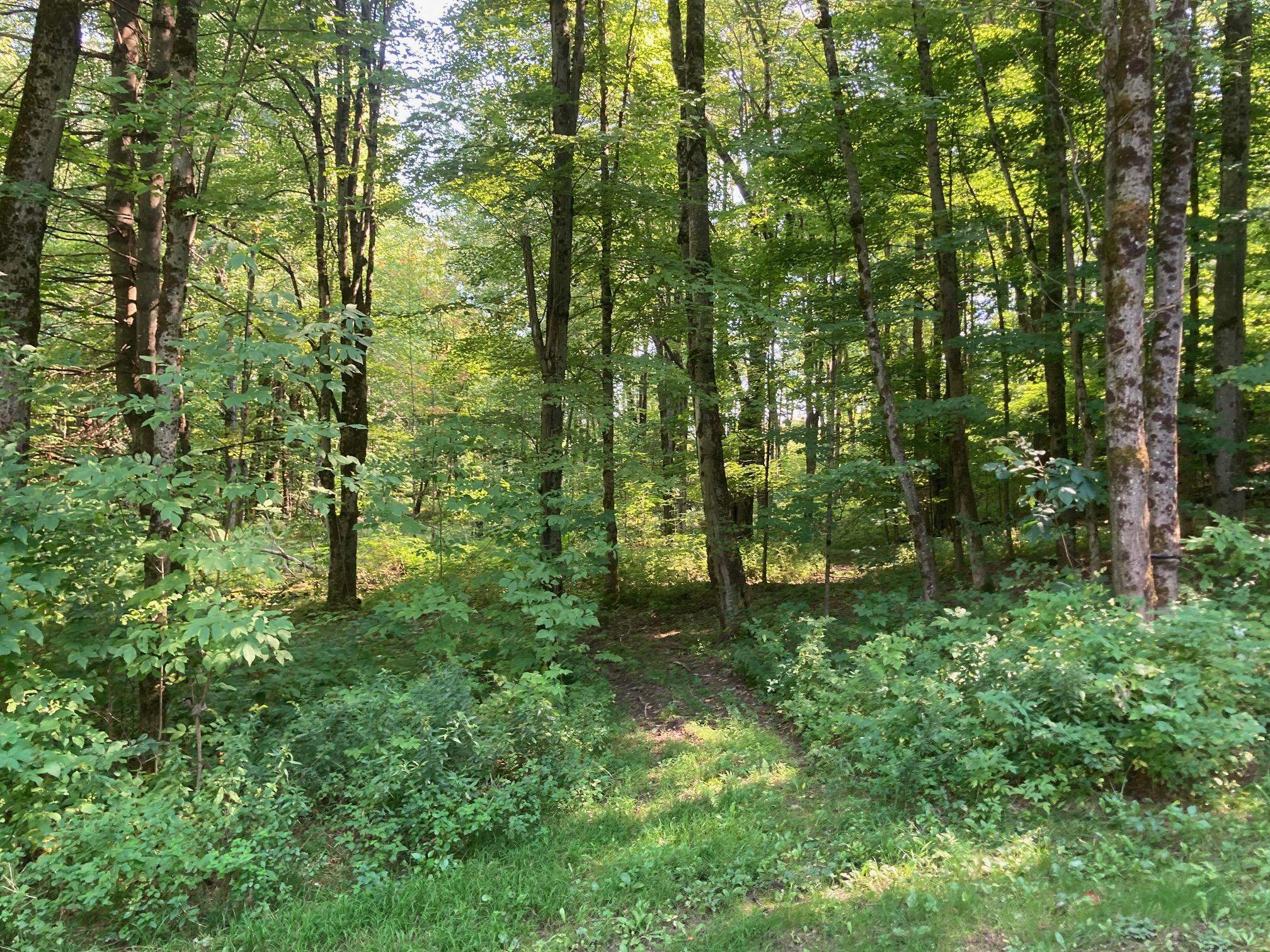42 Wiggins Road Fairfax, VT 05454 - Photo 4 of 5