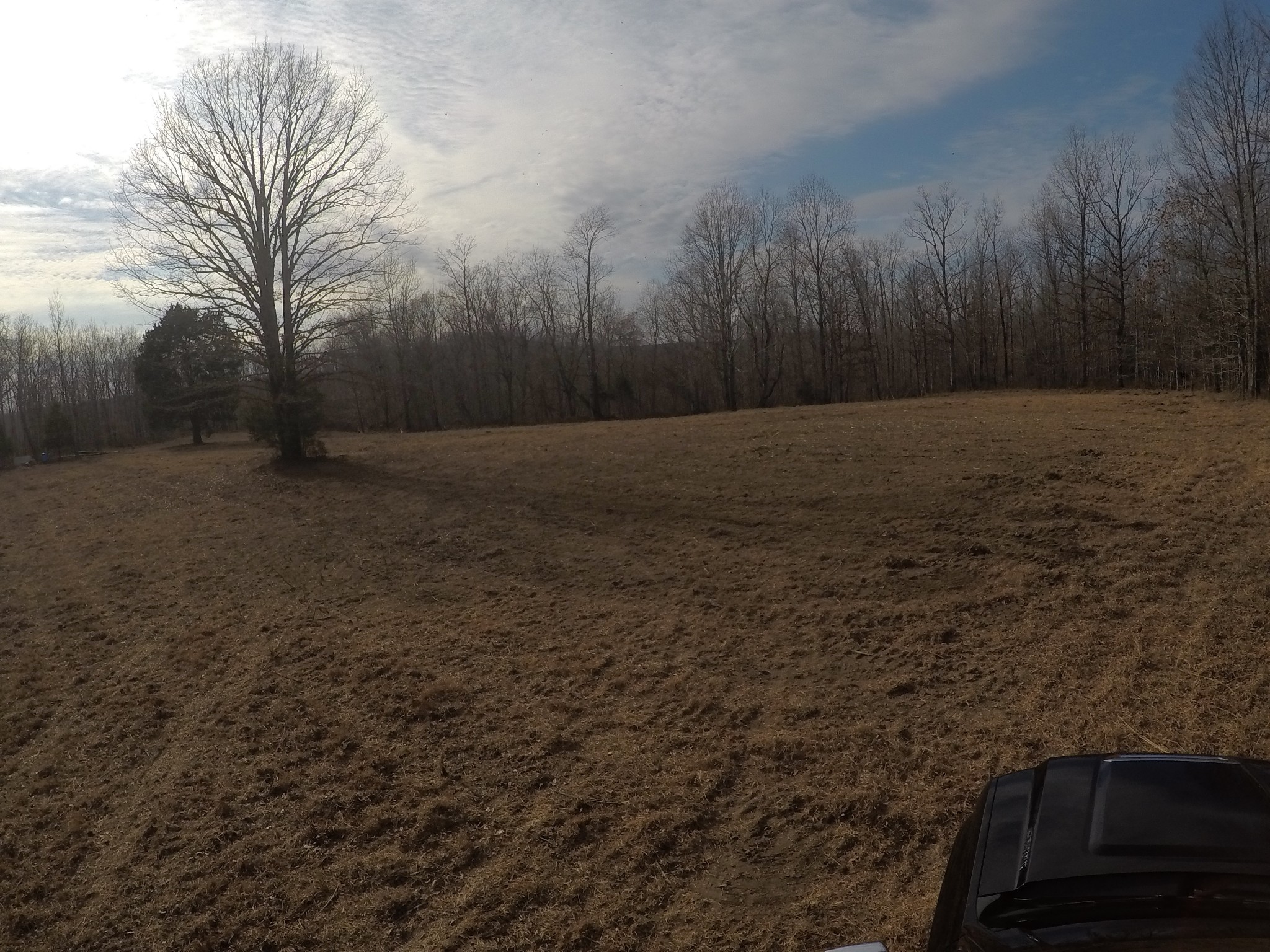 298 Haist Road Hohenwald, TN 38462 - Photo 22 of 33 Gallery Image 22