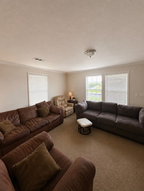 906 Moms Road Port Bolivar, TX 77650 - Photo 10 of 15