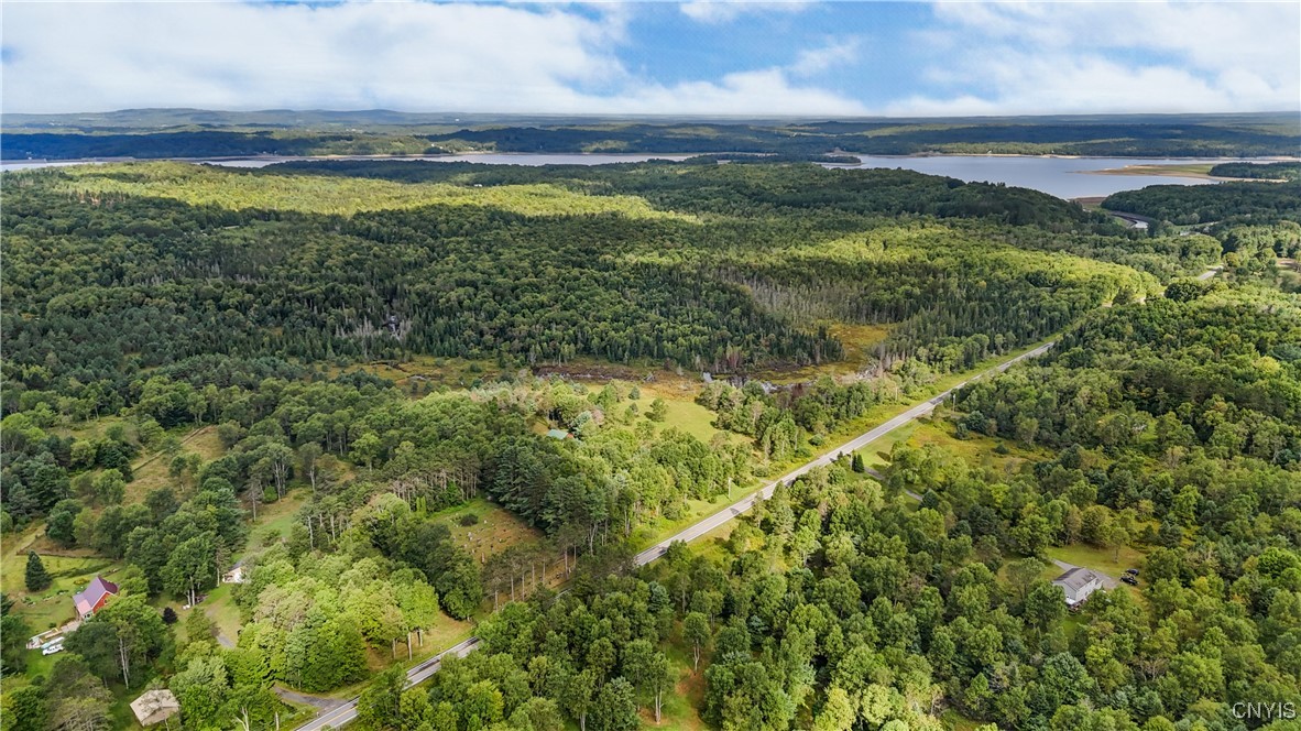 1276 Grant Road Russia, NY 13324 - Photo 31 of 40 Aerial-4