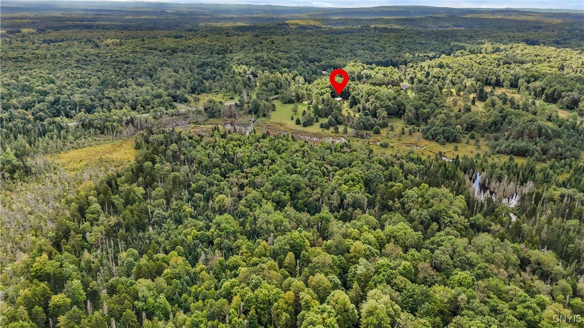 1276 Grant Road Russia, NY 13324 - Photo 34 of 40 Aerial with home pinned