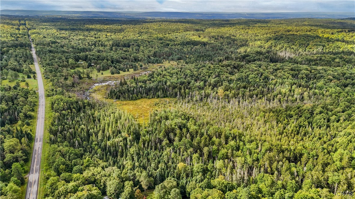 1276 Grant Road Russia, NY 13324 - Photo 37 of 40 Aerial