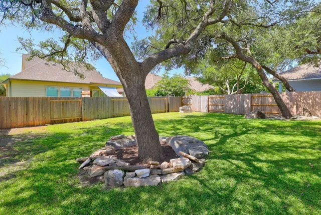 a view of a backyard with a tree