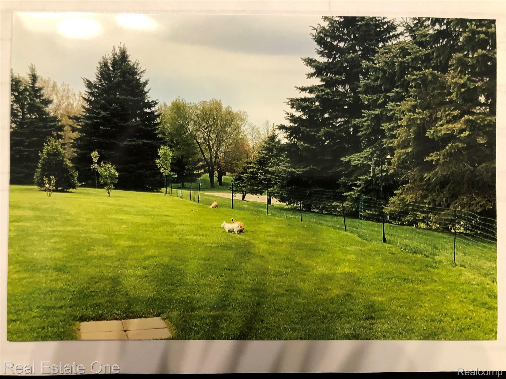 8793 Pinckney Road Pinckney, MI 48169 - Photo 26 of 28 IMG_3095.JPG
