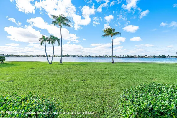 a view of a big room with a big yard and palm trees
