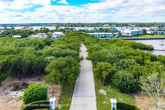 a view of a city with lots of trees