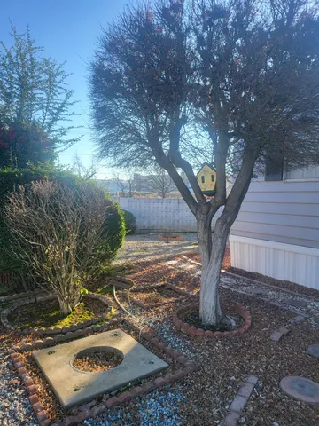 a view of a yard with plants and trees