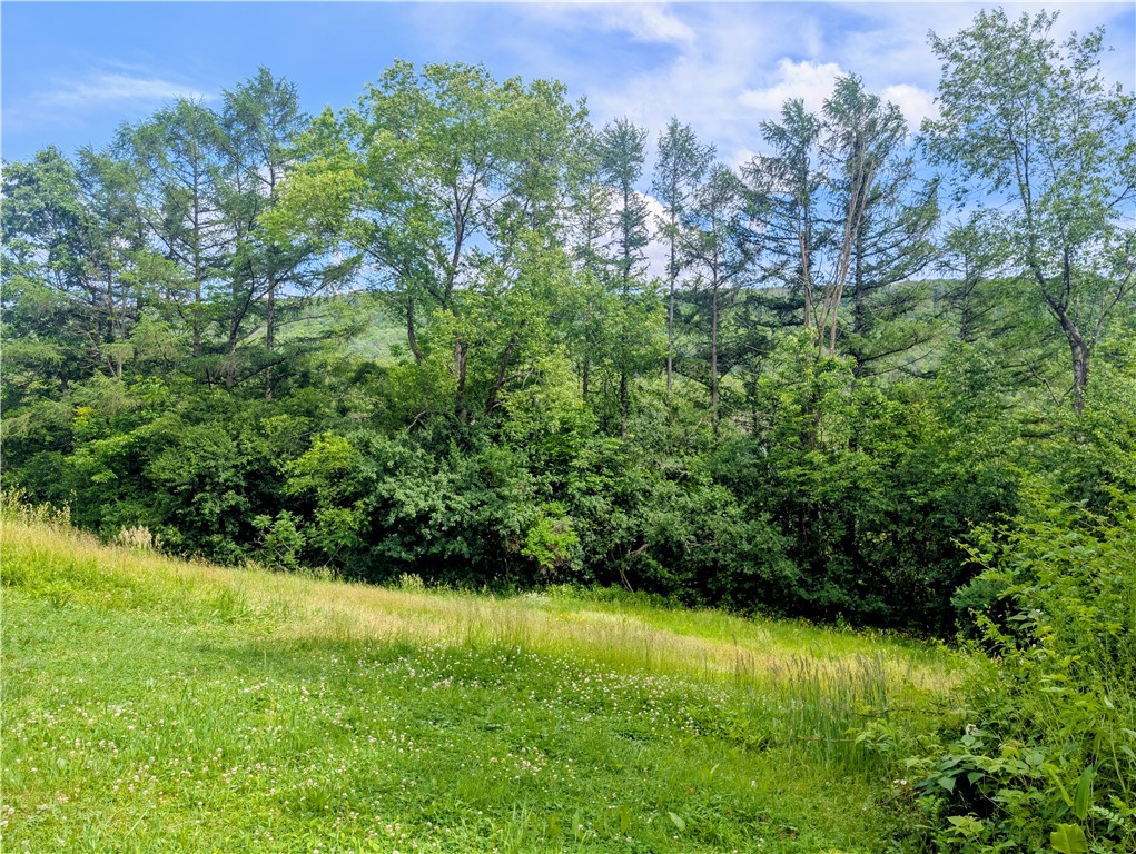 2978 Andover Road Wellsville, NY 14895 - Photo 28 of 30