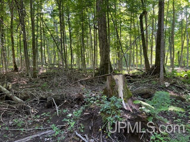 11.6 Acres Off Remington Road Marquette, MI 49855 - Photo 18 of 39