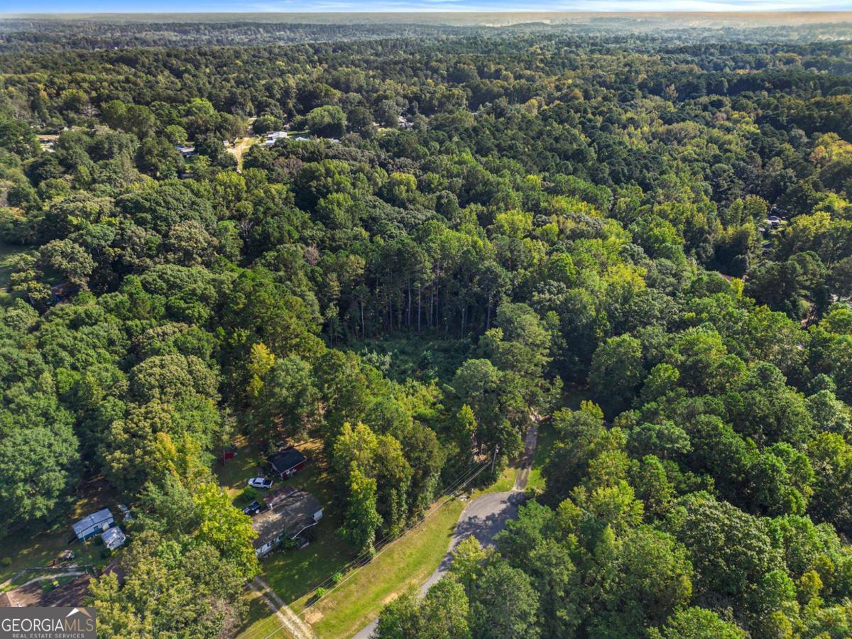 0 Maple Trail Sharpsburg, GA 30277 - Photo 1 of 14