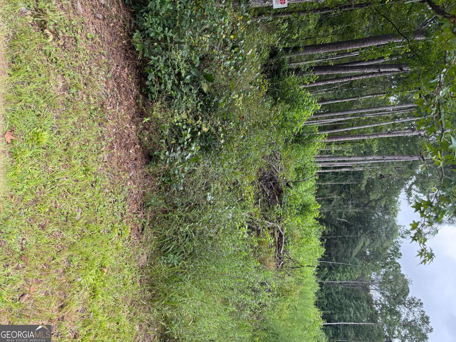 0 Maple Trail Sharpsburg, GA 30277 - Photo 13 of 14