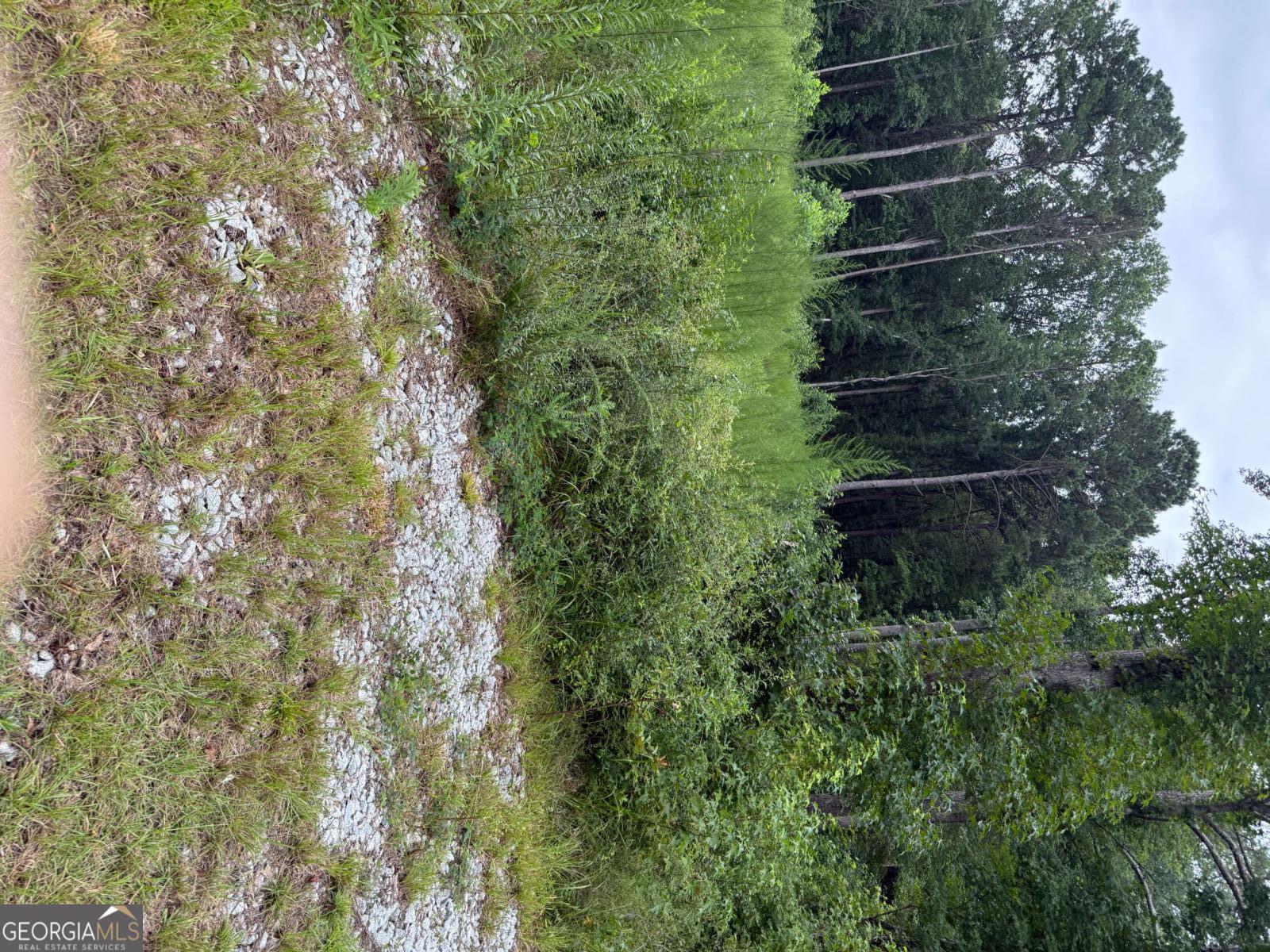 0 Maple Trail Sharpsburg, GA 30277 - Photo 14 of 14