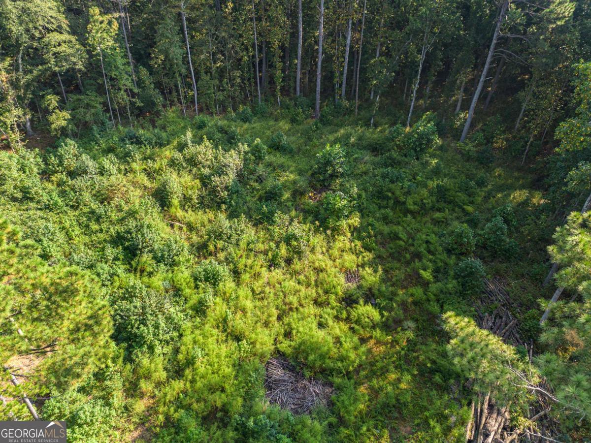 0 Maple Trail Sharpsburg, GA 30277 - Photo 2 of 14